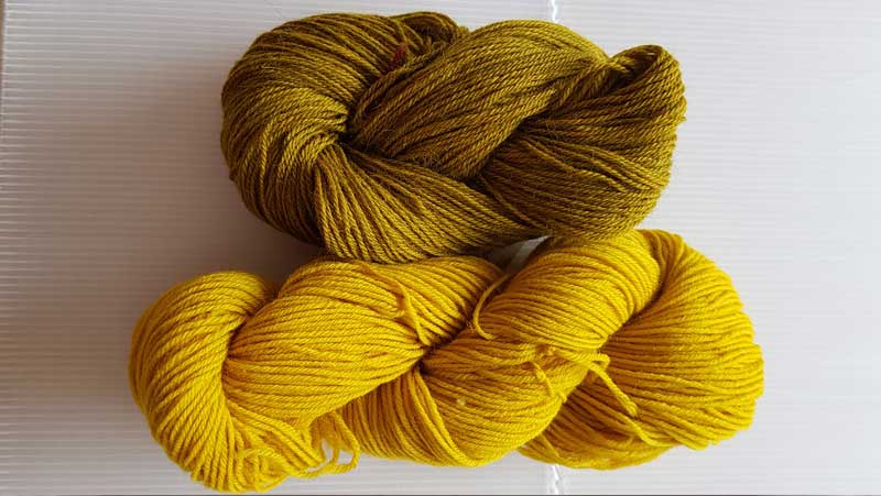 Dyer's chamomile