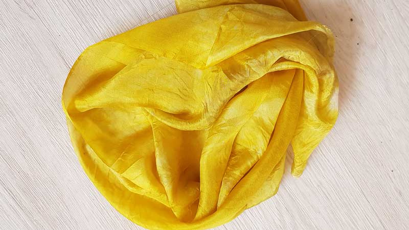 Dyer's Chamomile on silk