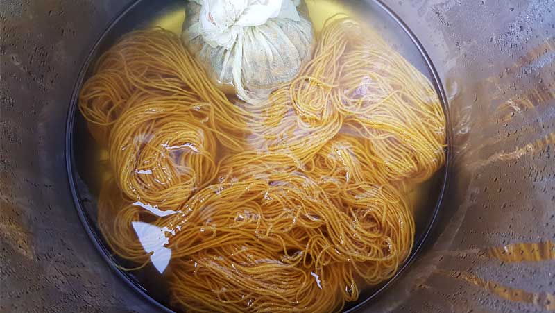Dyer's Chamomile